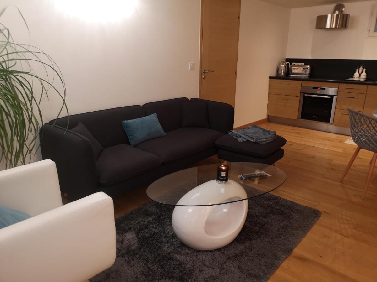 Tres Bel Appartement Avec Vue Sur Les Montagnes Saint Ismier Экстерьер фото
